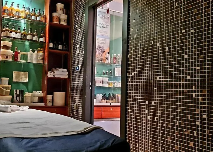 莱昂中央spaqh酒店 莱昂