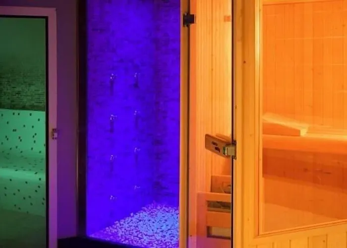 酒店 莱昂中央spaqh酒店 3*